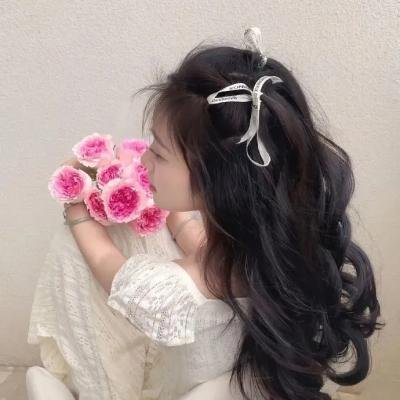 小真:彩虹救援任务